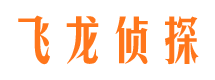 大悟市侦探公司